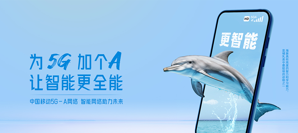 中国移动大丰区移动宽带