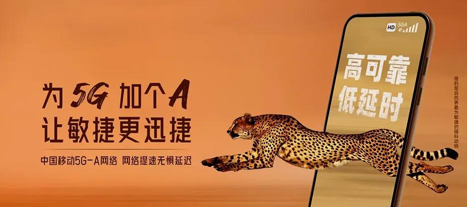 大丰区大丰区大桥镇 移动宽带