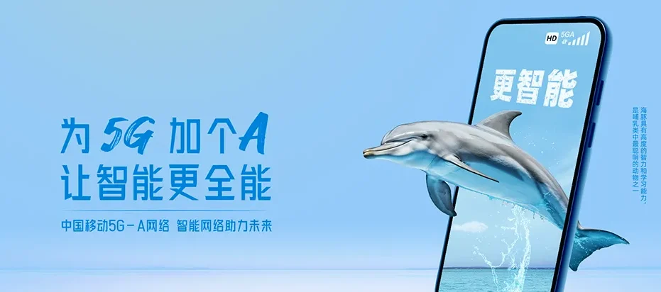 大丰区大丰区草堰镇 移动宽带